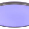Rabalux 2290 Rasmus LED Stropní svítidlo s ovladačem | Přírodní bílá | RGB | Stmívatelné | 22W | Bílá | Kov | Stříbrná
