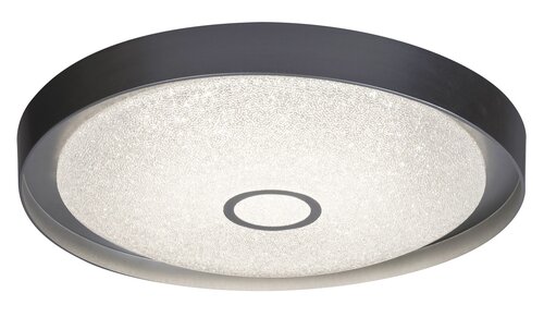 Rabalux 2297 LED Stropní svítidlo s ovladačem | Variabilní | 22W | Chrom | Kov
