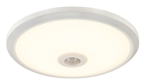 Rabalux 2498 Gabriel LED Stropní svítidlo s pohybovým čidlem | Přírodní bílá | 12W | Bílá