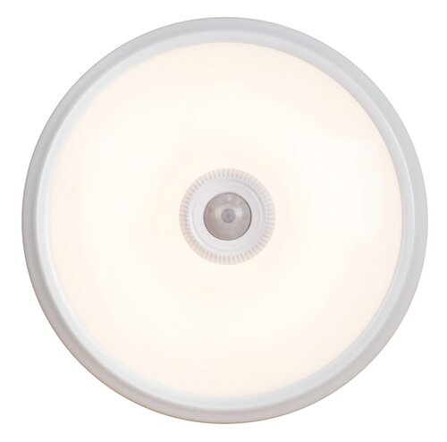 Rabalux 2498 Gabriel LED Stropní svítidlo s pohybovým čidlem | Přírodní bílá | 12W | Bílá