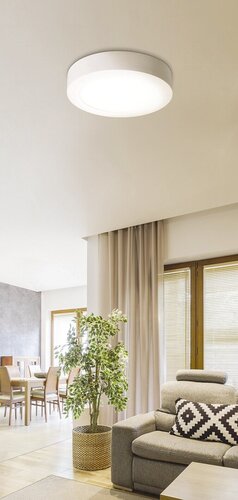 Rabalux 2658 Lois LED Vnitřní osvětlení | Přírodní bílá | 36W | Bílá