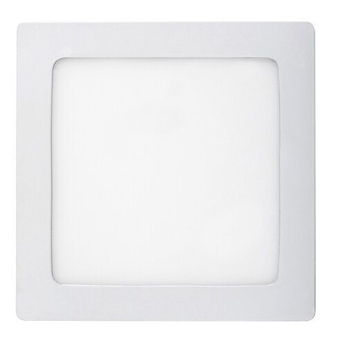 Rabalux 2663 Lois LED Přisazené stropní svítidlo | Přírodní bílá | 12W | Bílá