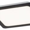 Rabalux 2683 Shaun LED Přisazené stropní svítidlo | Přírodní bílá | 12W | Bílá | Černá