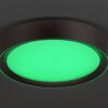 Rabalux 2987 Mokka LED Stropní svítidlo s ovladačem | RGB | Variabilní | Stmívatelné | 24W | Bílá | Hnědá