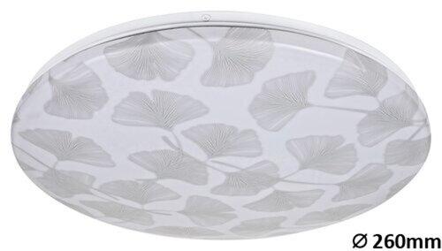 Rabalux 3075 Benita LED Moderní stropní svítidlo | Teplá bílá | 18W | Bílá