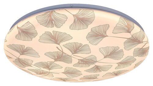 Rabalux 3076 Benita LED Moderní stropní svítidlo | Teplá bílá | 24W | Bílá