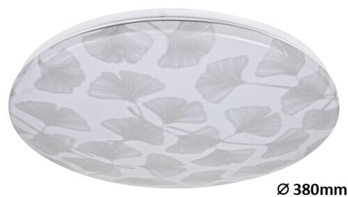 Rabalux 3076 Benita LED Moderní stropní svítidlo | Teplá bílá | 24W | Bílá