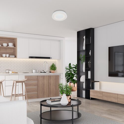 Rabalux 3083 Ceilo LED Stropní svítidlo s ovladačem | Variabilní | Stmívatelné | 38W | Bílá
