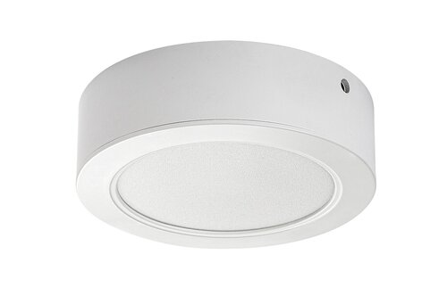 Rabalux 3171 Shaun LED Přisazené stropní svítidlo | Přírodní bílá | 12W | Bílá