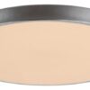 Rabalux 3317 Tesia LED Stropní svítidlo s ovladačem | Variabilní | Stmívatelné | 60W | Bílá | Kov | Stříbrná