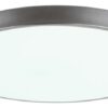 Rabalux 3317 Tesia LED Stropní svítidlo s ovladačem | Variabilní | Stmívatelné | 60W | Bílá | Kov | Stříbrná