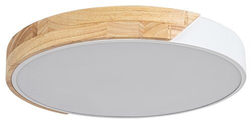 Rabalux 3527 Maple LED stropní svítidlo | Teplá bílá | 24W | Bílá
