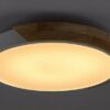 Rabalux 3527 Maple LED stropní svítidlo | Teplá bílá | 24W | Bílá