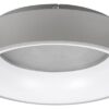 Rabalux 3928 Adeline LED Stropní svítidlo s ovladačem | Variabilní | Stmívatelné | 24W | Bílá | Šedá