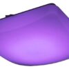 Rabalux 3935 Igor LED Stropní svítidlo s ovladačem | RGB | Variabilní | Stmívatelné | 16W | Bílá