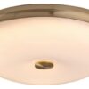 Rabalux 5196 Jasna LED stropní svítidlo | Teplá bílá | 24W | Barevný kov | Bílá | Mosaz