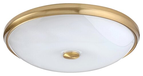 Rabalux 5196 Jasna LED stropní svítidlo | Teplá bílá | 24W | Barevný kov | Bílá | Mosaz