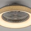 Rabalux 5420 Benicio LED Stropní svítidlo s ovladačem | Variabilní | Stmívatelné | 35W | Bílá | Šedá
