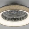 Rabalux 5420 Benicio LED Stropní svítidlo s ovladačem | Variabilní | Stmívatelné | 35W | Bílá | Šedá