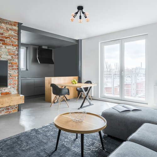 Rabalux 6809 Almus Stropní svítidlo | E27 | Černá