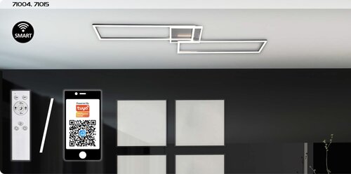 Rabalux 71015 Benedick LED Stropní svítidlo s ovladačem | Variabilní | Stmívatelné | 40W | Bílá | Kov | Stříbrná