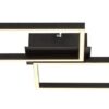 Rabalux 71032 Ludano LED Moderní stropní svítidlo | RGB | Variabilní | Stmívatelné | 40W | Bílá | Černá | 15