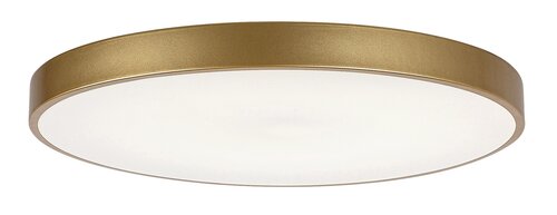 Rabalux 71038 Tesia LED Stropní svítidlo s ovladačem | Variabilní | Stmívatelné | 60W | Barevný kov | Bílá | Zlatá