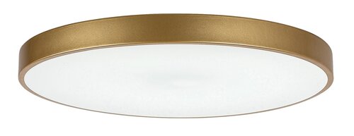 Rabalux 71038 Tesia LED Stropní svítidlo s ovladačem | Variabilní | Stmívatelné | 60W | Barevný kov | Bílá | Zlatá