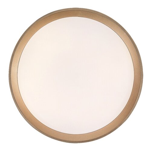 Rabalux 71121 Liatris LED Moderní stropní svítidlo | Teplá bílá | 25W | Bílá | Šedá