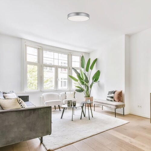 Rabalux 71135 Octav2 LED Moderní stropní svítidlo | Přírodní bílá | 24W | Bílá | Kov | Stříbrná