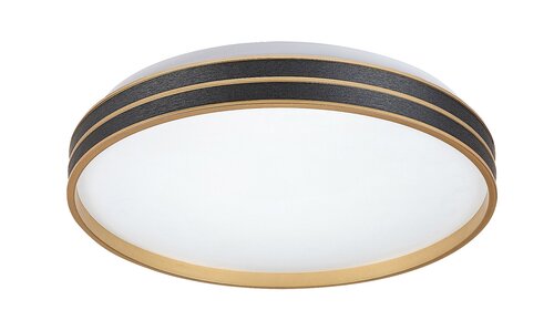 Rabalux 71141 Gandor LED Moderní stropní svítidlo | Variabilní | Stmívatelné | 24W | Bílá | Černá