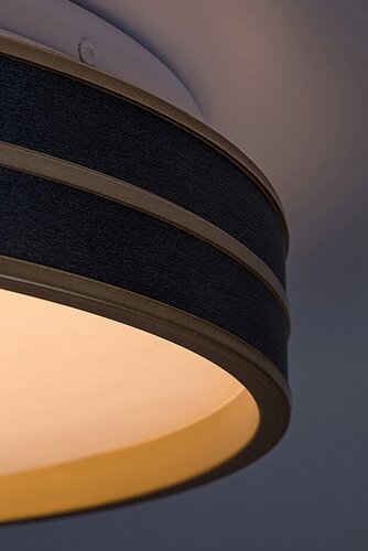 Rabalux 71141 Gandor LED Moderní stropní svítidlo | Variabilní | Stmívatelné | 24W | Bílá | Černá
