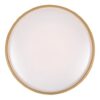 Rabalux 71141 Gandor LED Moderní stropní svítidlo | Variabilní | Stmívatelné | 24W | Bílá | Černá