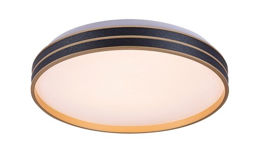 Rabalux 71141 Gandor LED Moderní stropní svítidlo | Variabilní | Stmívatelné | 24W | Bílá | Černá