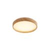 Rabalux 71143 Leana2 LED stropní svítidlo | Teplá bílá | 12W | Bílá | Dřevo