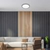 Rabalux 71157 Ezio LED Přisazené stropní svítidlo | Teplá bílá | Stmívatelné | 22W | Bílá | Černá