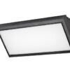 Rabalux 7282 Rapla LED Nástěnné venkovní světlo | Přírodní bílá | 12W | Bílá | Černá