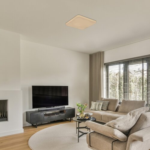Rabalux 75013 Vendel LED Stropní svítidlo s pohybovým čidlem | Přírodní bílá | 12W | Bílá
