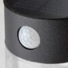 Rabalux 77015 Kapuas LED Venkovní světlo s čidlem | Přírodní bílá | 1,5W | Černá