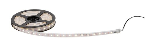 Rabalux 77016 Ansoo LED Venkovní světlo s čidlem | Teplá bílá | 0,26W | Bílá