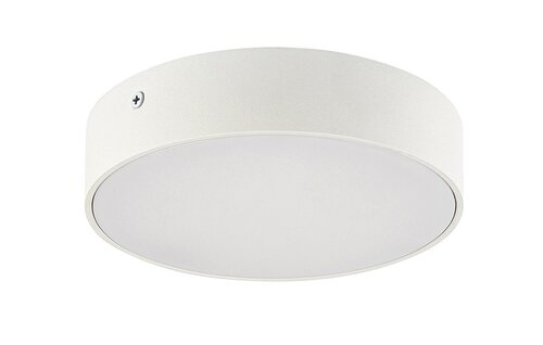 Rabalux 7893 Tartu LED Stropní venkovní světlo | Variabilní | Bílá | 18W