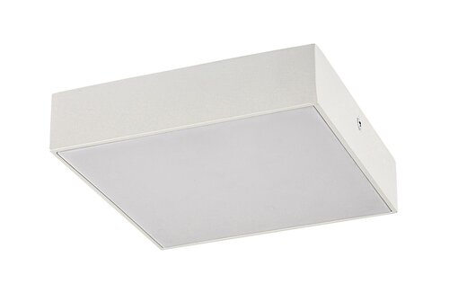 Rabalux 7895 Tartu LED Stropní venkovní světlo | Variabilní | Bílá | 18W | 7