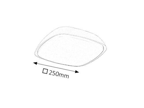 Rabalux 8797 Austin LED Stropní venkovní světlo | Přírodní bílá | 20W | Bílá | Černá