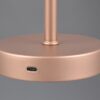 Trio R59151165 LED stolní lampa Jeff 1x1,5W | 150lm | 3000K | IP20 - dotyková funkce o 4 stupních, provoz na akumulátor, provoz přes USB-C, kávová