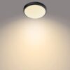 Philips 8719514326606 Doris LED stropní svítidlo | Teplá bílá | Černá | 17W