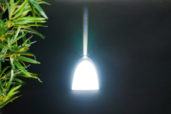 Lutec 5188801118 Apollo LED Nástěnné venkovní světlo | Teplá bílá | 14W | Šedá