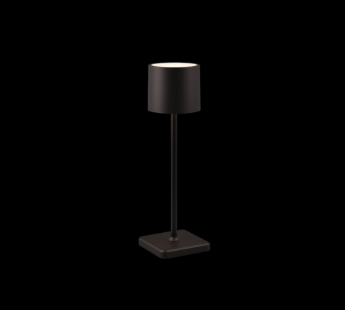Trio Reality TR54096132 LED venkovní stolní svítidlo FERNANDEZ | 1,5W integrovaný LED zdroj | 130lm | 4000K