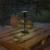 Trio Reality TR54096132 LED venkovní stolní svítidlo FERNANDEZ | 1,5W integrovaný LED zdroj | 130lm | 4000K