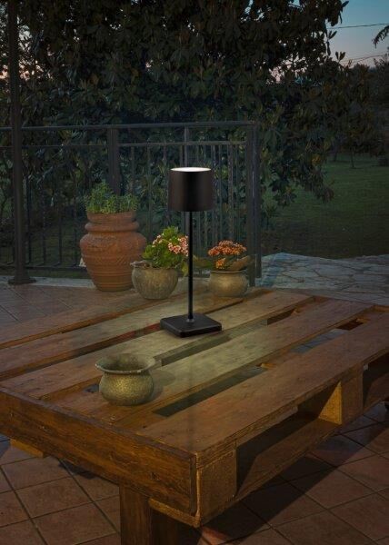 Trio Reality TR54096132 LED venkovní stolní svítidlo FERNANDEZ | 1,5W integrovaný LED zdroj | 130lm | 4000K