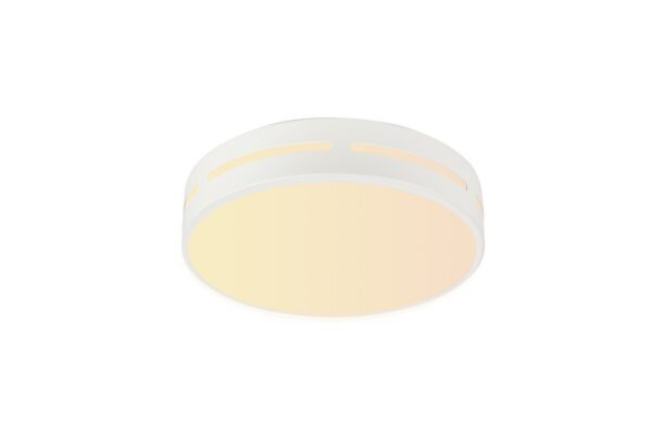 Immax 07153-W40 LED stropní svítidlo | Variabilní | 24W | Bílá